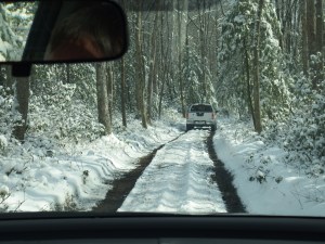 It was a beautiful (albeit a little stressful) drive out into the woods