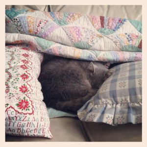 This is what I feel like doing after being in those ridiculously noisy rooms.