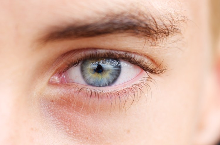 Take that, Les Mis.  I can shoot with a wide aperture, too.  